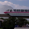 WDW2008-301