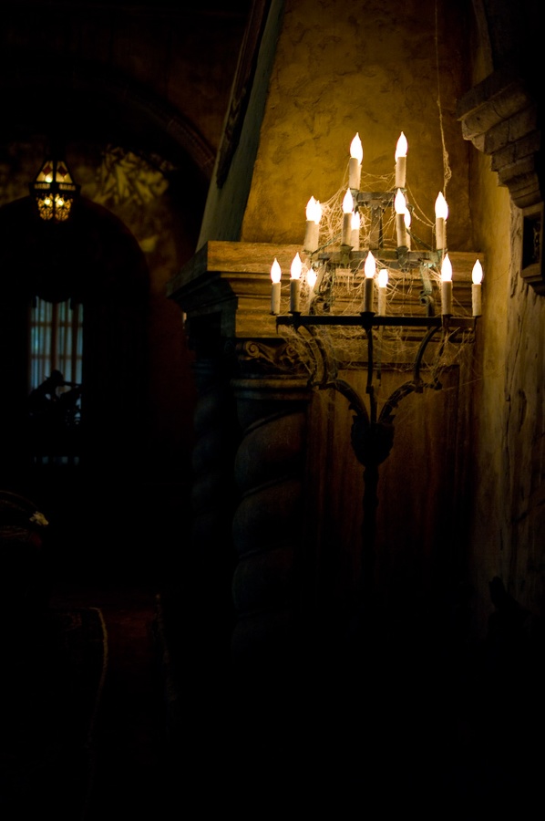WDW2008-444.jpg