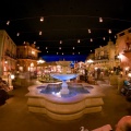 WDW2008-780