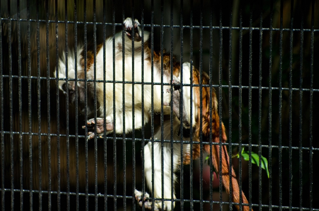 WDW2008-837.jpg
