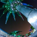 WDW2008-504