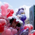 WDW2008-575