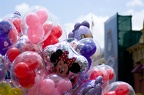 WDW2008-575