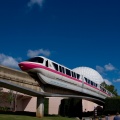 WDW2008-233