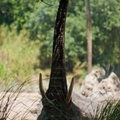 WDW2008-824