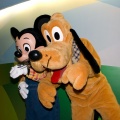 WDW2008-313