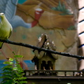 WDW2008-159