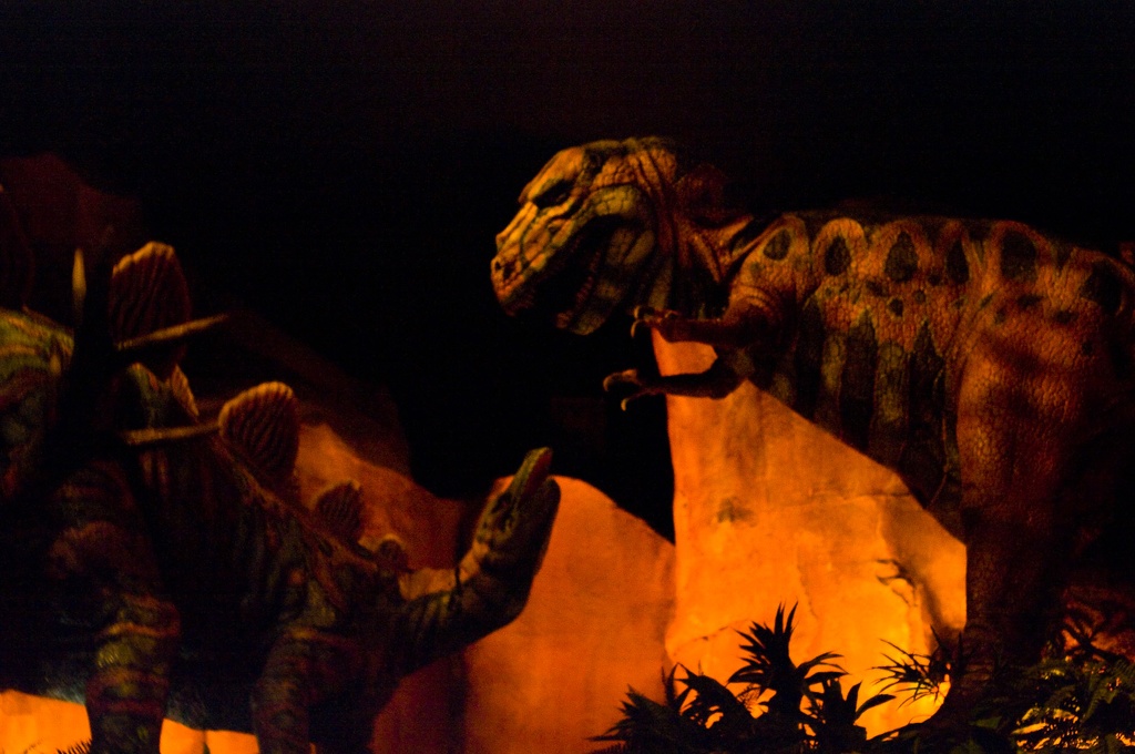 WDW2008-237.jpg