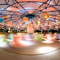 WDW2008-509