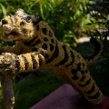 WDW2008-724
