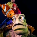 WDW2008-804