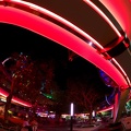 WDW2008-499
