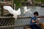 WDW2008-603