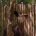 WDW2008-826