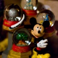 WDW2008-169