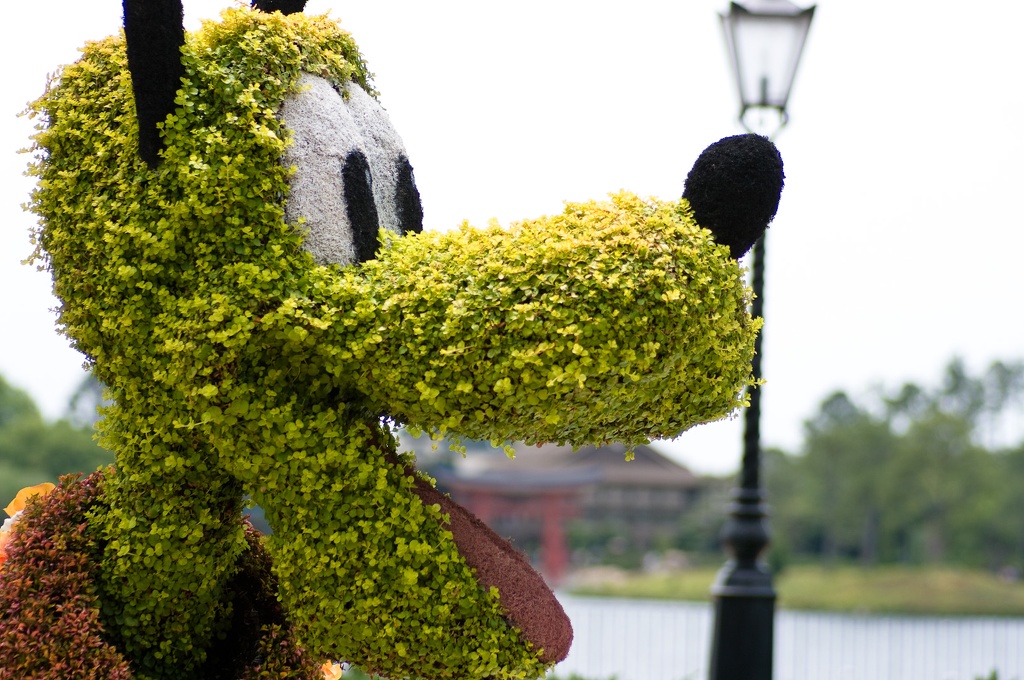 WDW2008-703.jpg