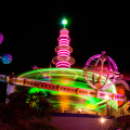 WDW2008-507