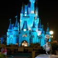 WDW2008-530