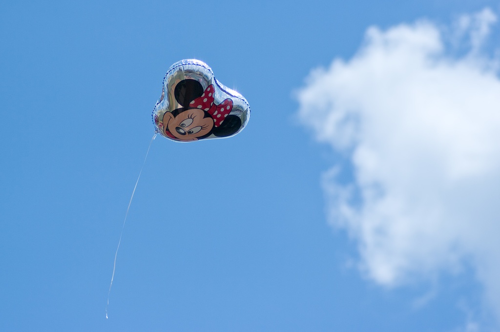 WDW2008-576.jpg
