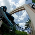 WDW2008-384