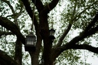 WDW2008-607