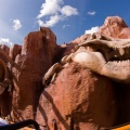 WDW2008-069