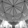 WDW2008-679