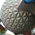 WDW2008-678