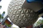 WDW2008-678