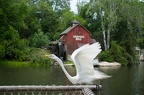 WDW2008-602