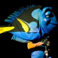 WDW2008-790