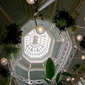 WDW2008-535