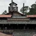 WDW2008-561