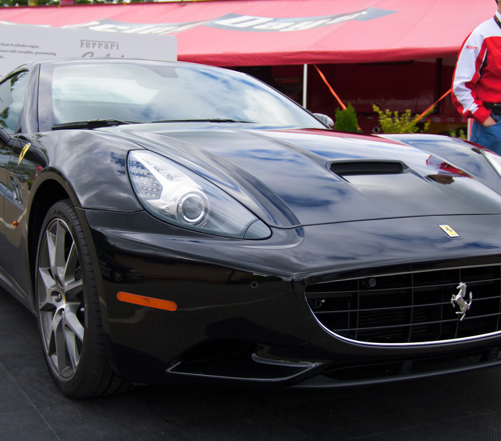 ArtOfFerrari2010-076