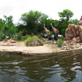 WDW2010SWW-260