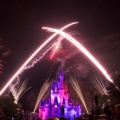 WDW2010SWW-322
