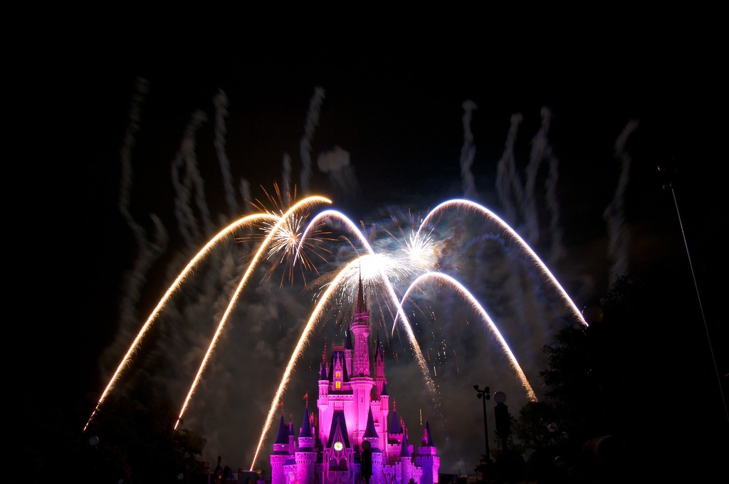 WDW2010SWW-310.jpg