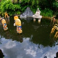 WDW2010SWW-263