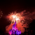 WDW2010SWW-320