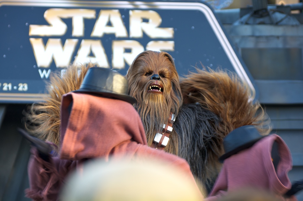 WDW2010SWW-160.jpg