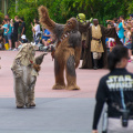 WDW2010SWW-054