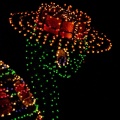 WDW2010SWW-275