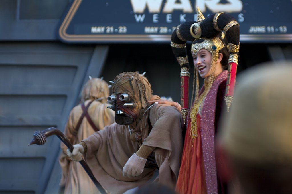 WDW2010SWW-170.jpg
