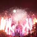 WDW2010SWW-342