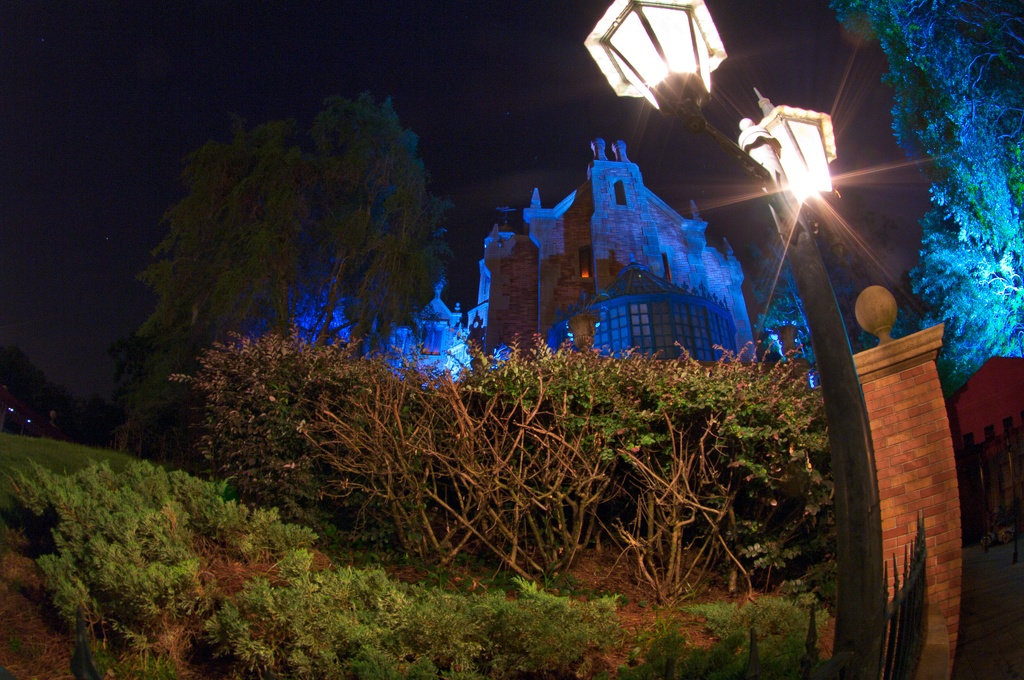 WDW2010SWW-243.jpg