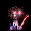 WDW2010SWW-299