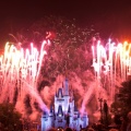 WDW2010SWW-343