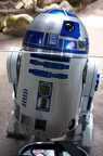 WDW2010SWW-114