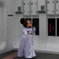 WDW2010SWW-016