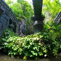 WDW2010SWW-262